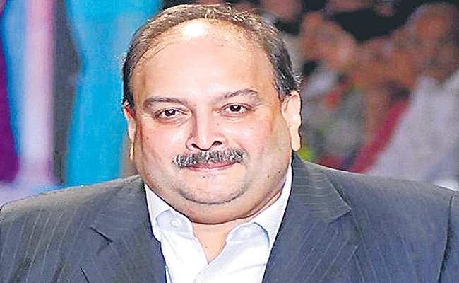 MOHIL-CHOKSI.jpg
