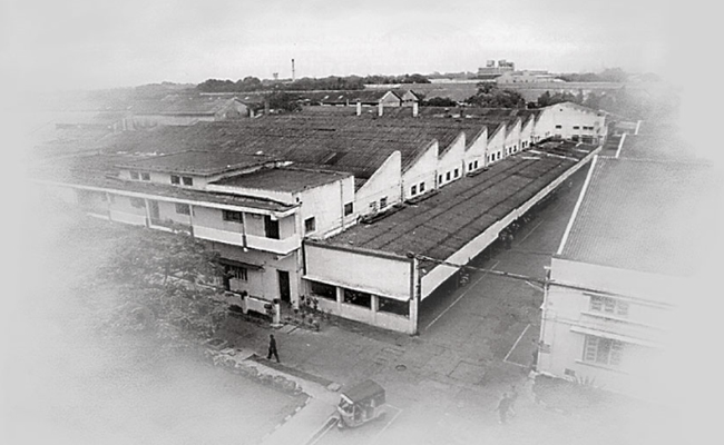 1955.jpg 21