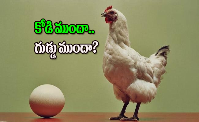 Hen.jpg