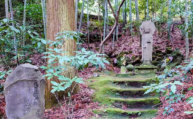 japan.jpg