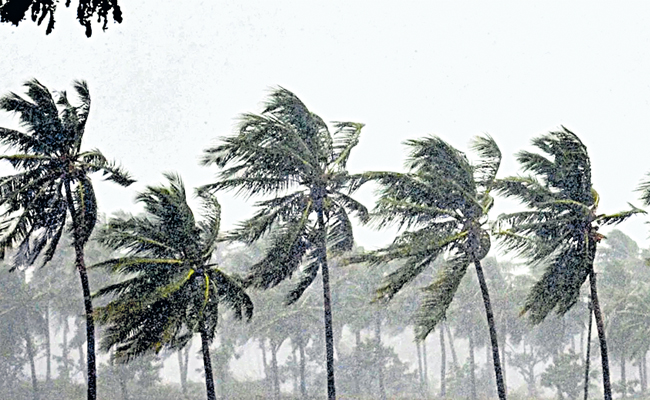 rains.jpg