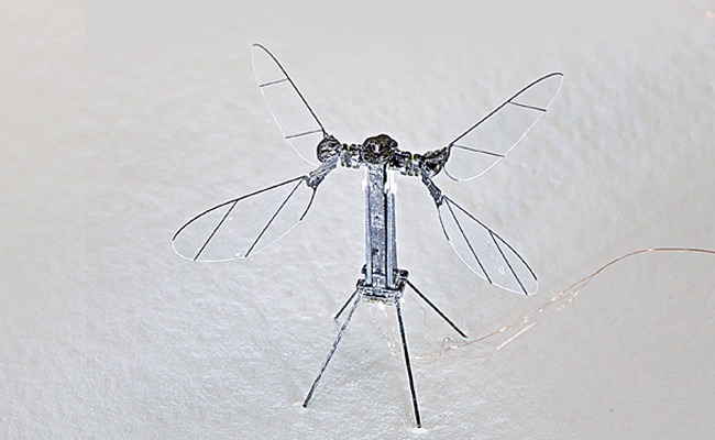 robotic-insect.jpg