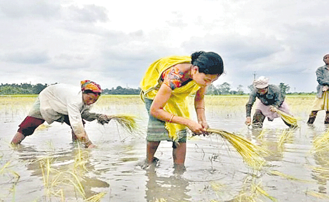 INFLATION-MONSOON.gif