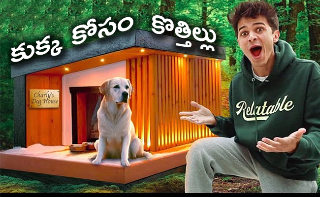 dog_20house_650x400.jpg