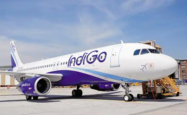indigo.jpg