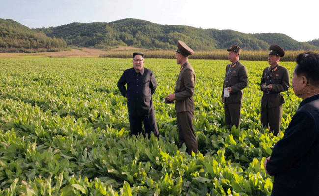 kim-jung.gif