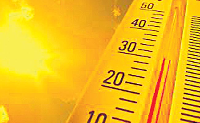 temp.jpg