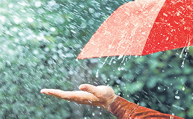 RAIN-HYD.jpg