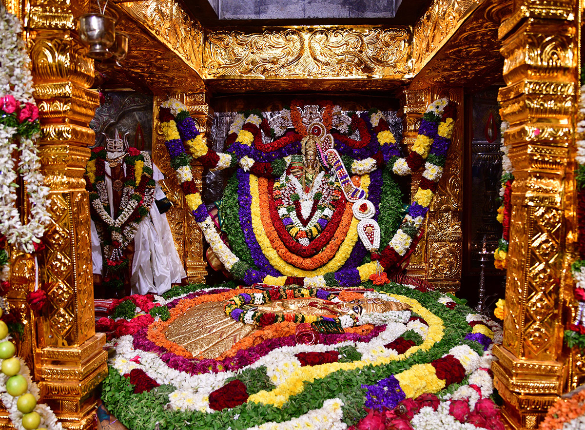 Balkampet-Yellamma-Kalyanotsavam-Hyderabad-_2044.jpg 43