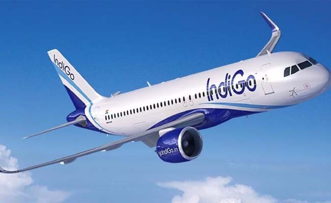 Indigo.jpg