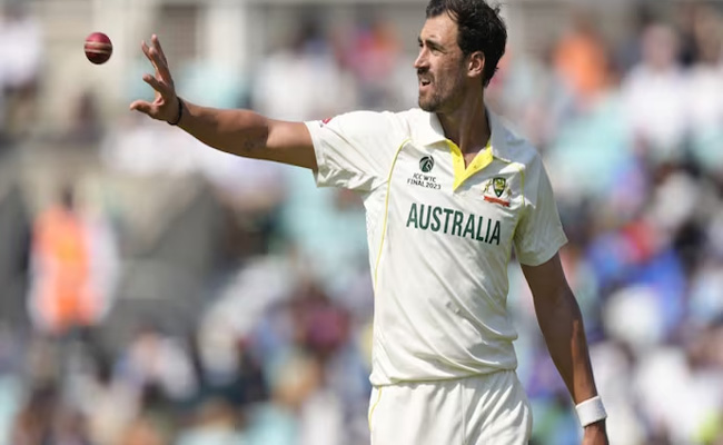 starc.jpg