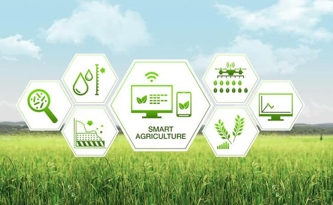 Digital-Crop-Survey.jpg