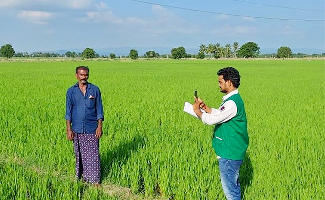 E-Crop-in-Ethiopia-In-Collaboration.jpg