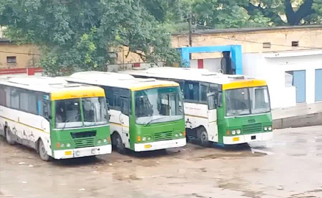 bus.jpg