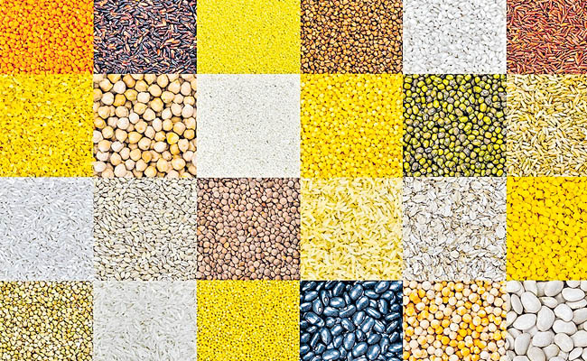 grains.jpg