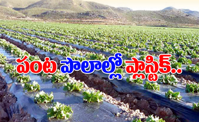 Agriculture1.jpg