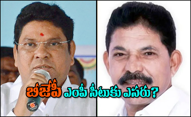 BJP-mp-seat.jpg