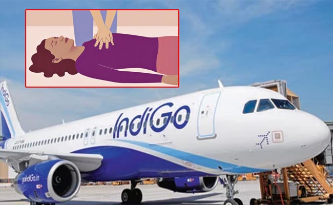 Indigo-Cpr.jpg