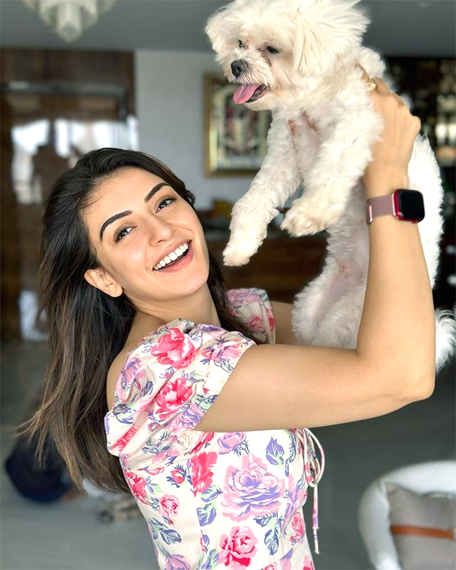 hansika_20motwani_20latest_20pics-6.jpg 6