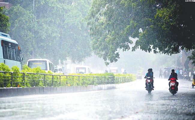 RAIN-7.jpg