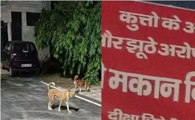 dogs.jpg