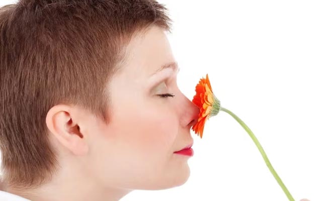 smell.jpg