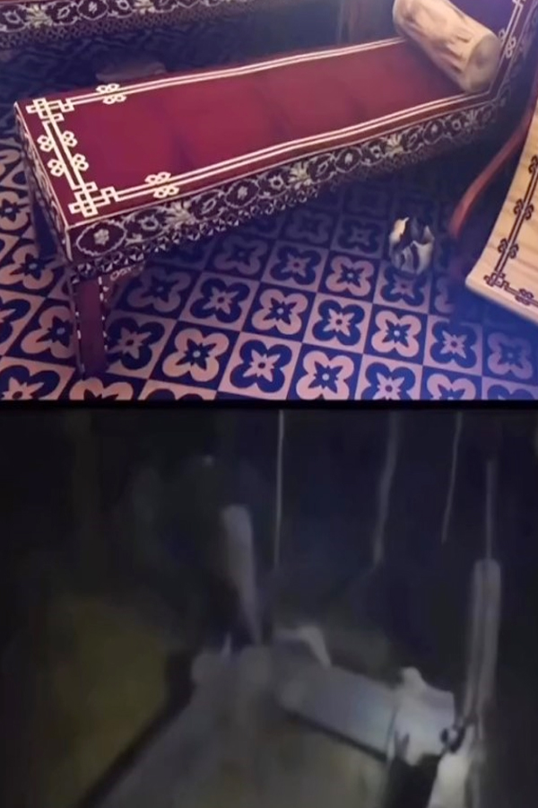 10.jpg 11