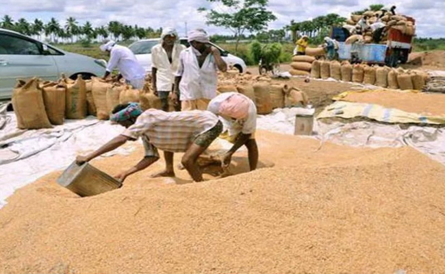 grains.jpg