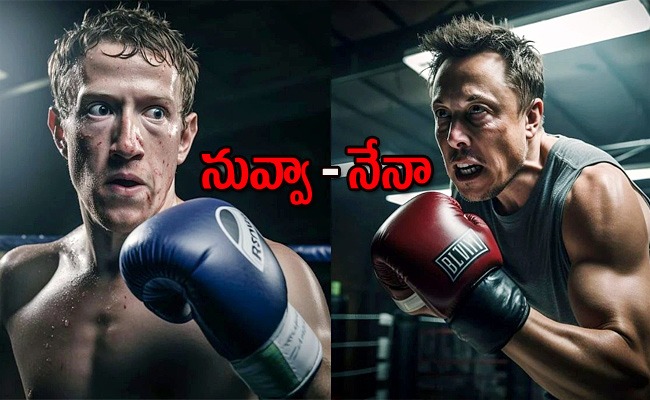 musk-vs-zuckerberg-cage-fight.jpg