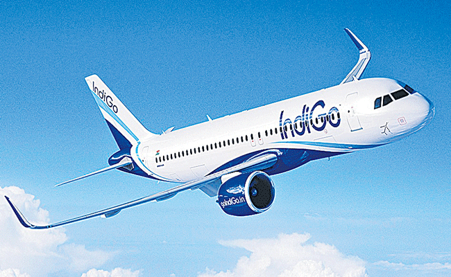 INDIGO.gif