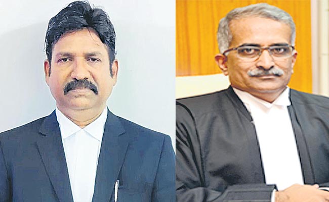 judge.jpg