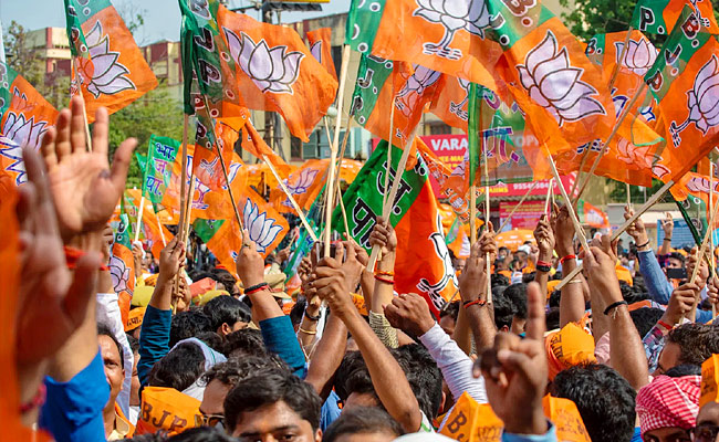 bjpflags.jpg