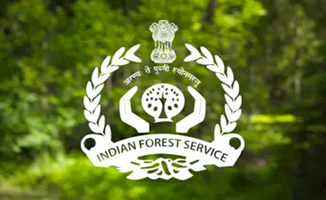 indainforestservice.jpg