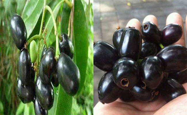 neradu.jpg