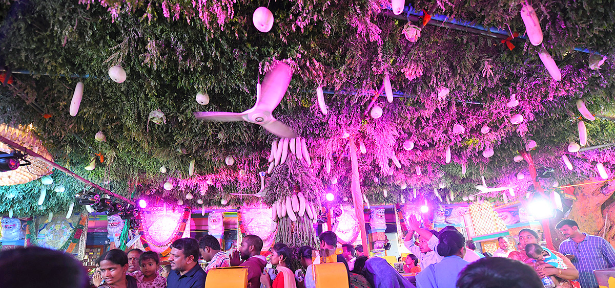 Shakambari_20Utsavalu_20Started_20in_20Vijayawada-12.jpg 12