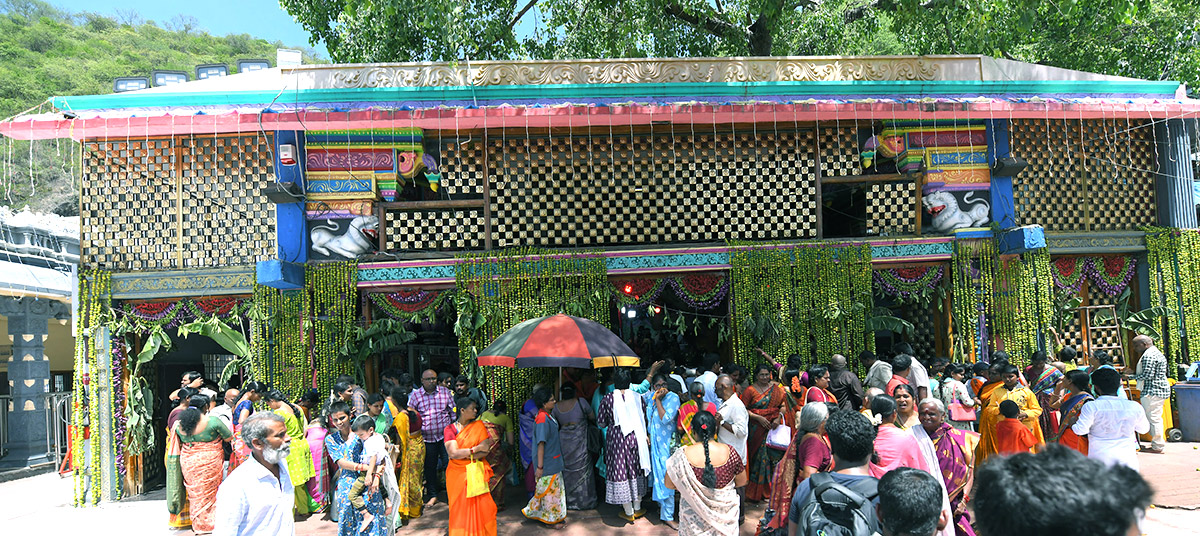 Shakambari_20Utsavalu_20Started_20in_20Vijayawada-16.jpg 16