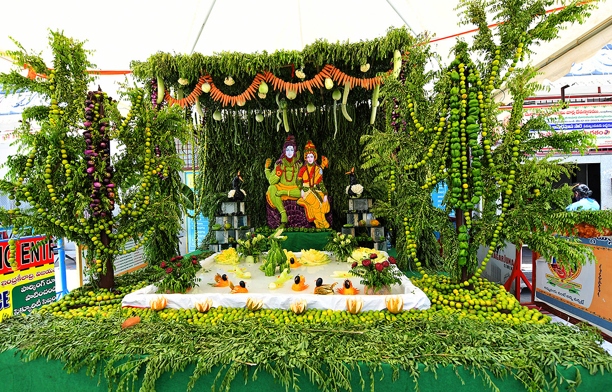 Shakambari_20Utsavalu_20Started_20in_20Vijayawada-23.jpg 23