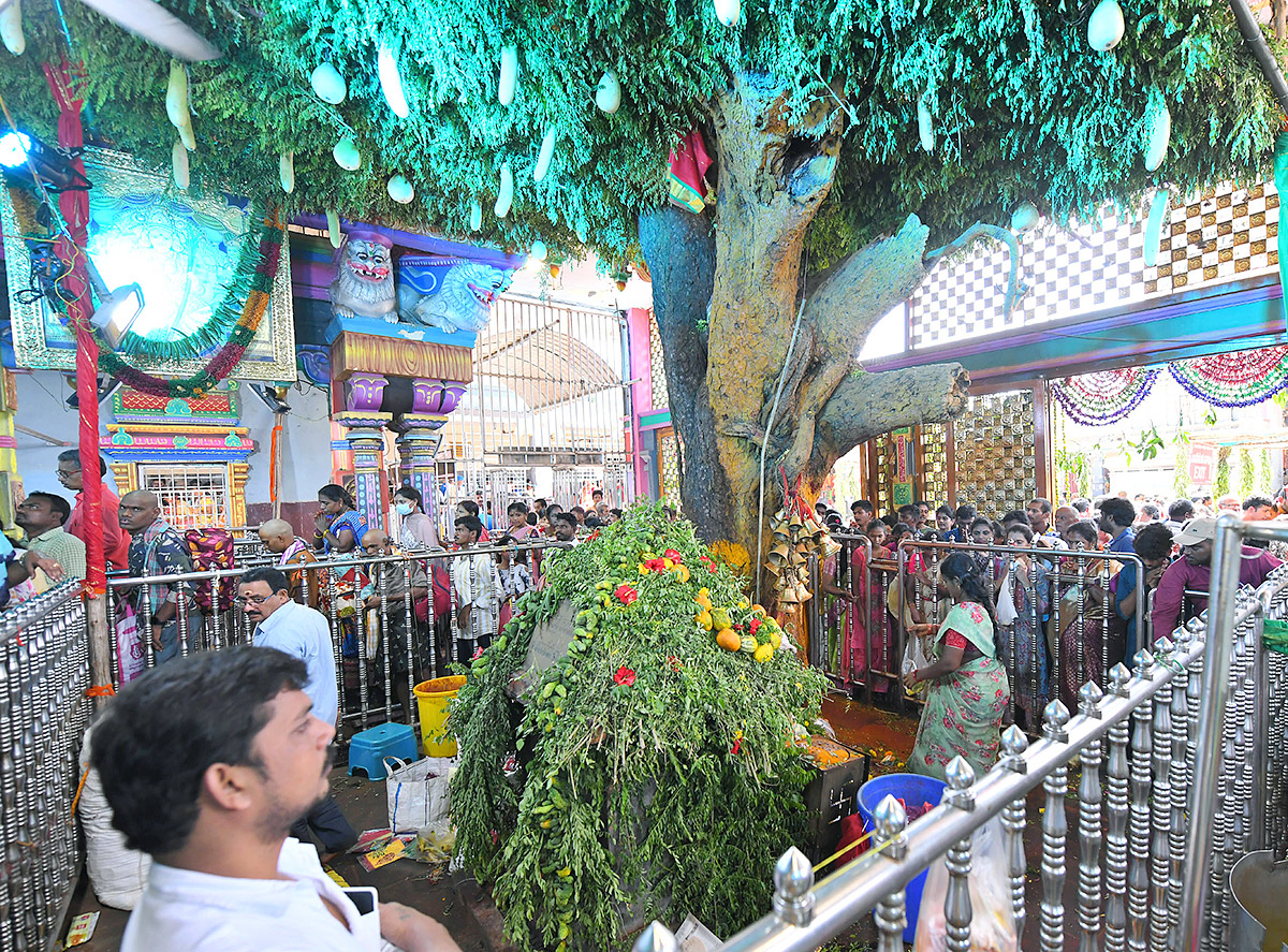 Shakambari_20Utsavalu_20Started_20in_20Vijayawada-37.jpg 37