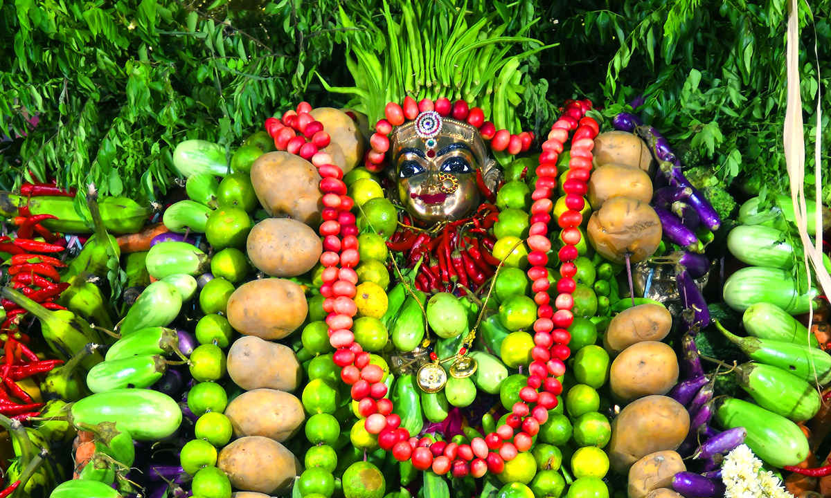Shakambari_20Utsavalu_20Started_20in_20Vijayawada-7.jpg 7