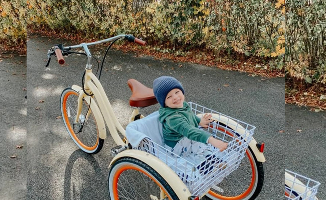 e_trike.jpg
