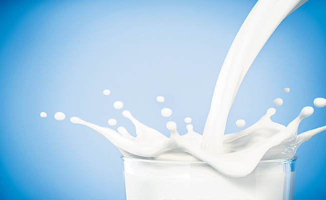 milk.jpg