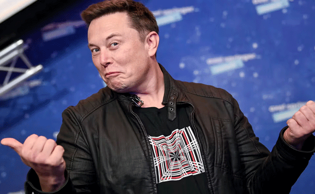 musk.gif