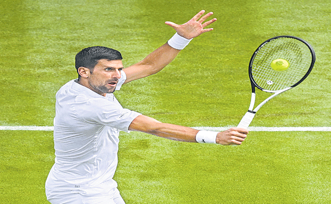 NOVAK_3364.gif