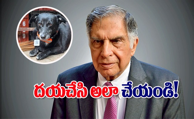 ratan-tata-emotional-post-about-animals.jpg