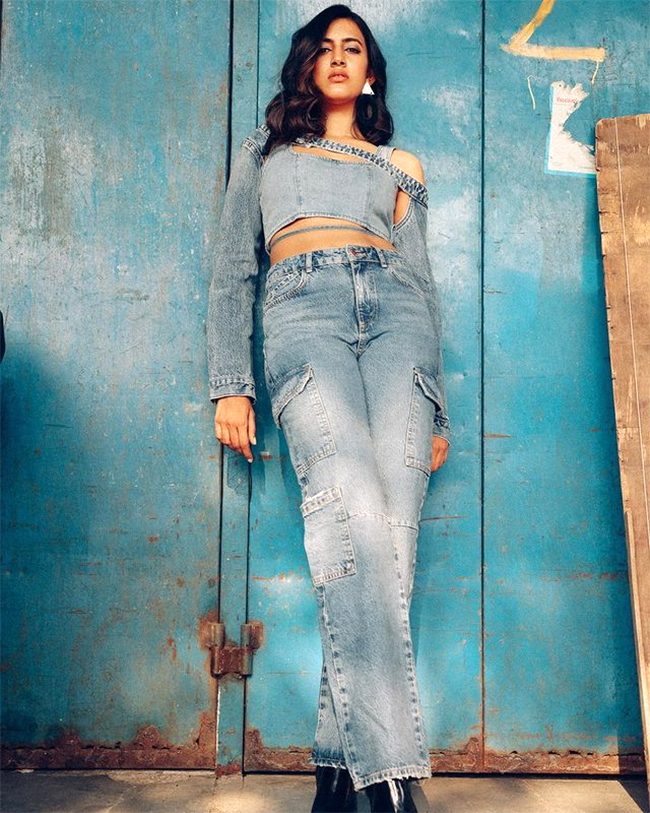 Niharika-Konidela_20Chaitanya-Divorce-News-13.jpg 13