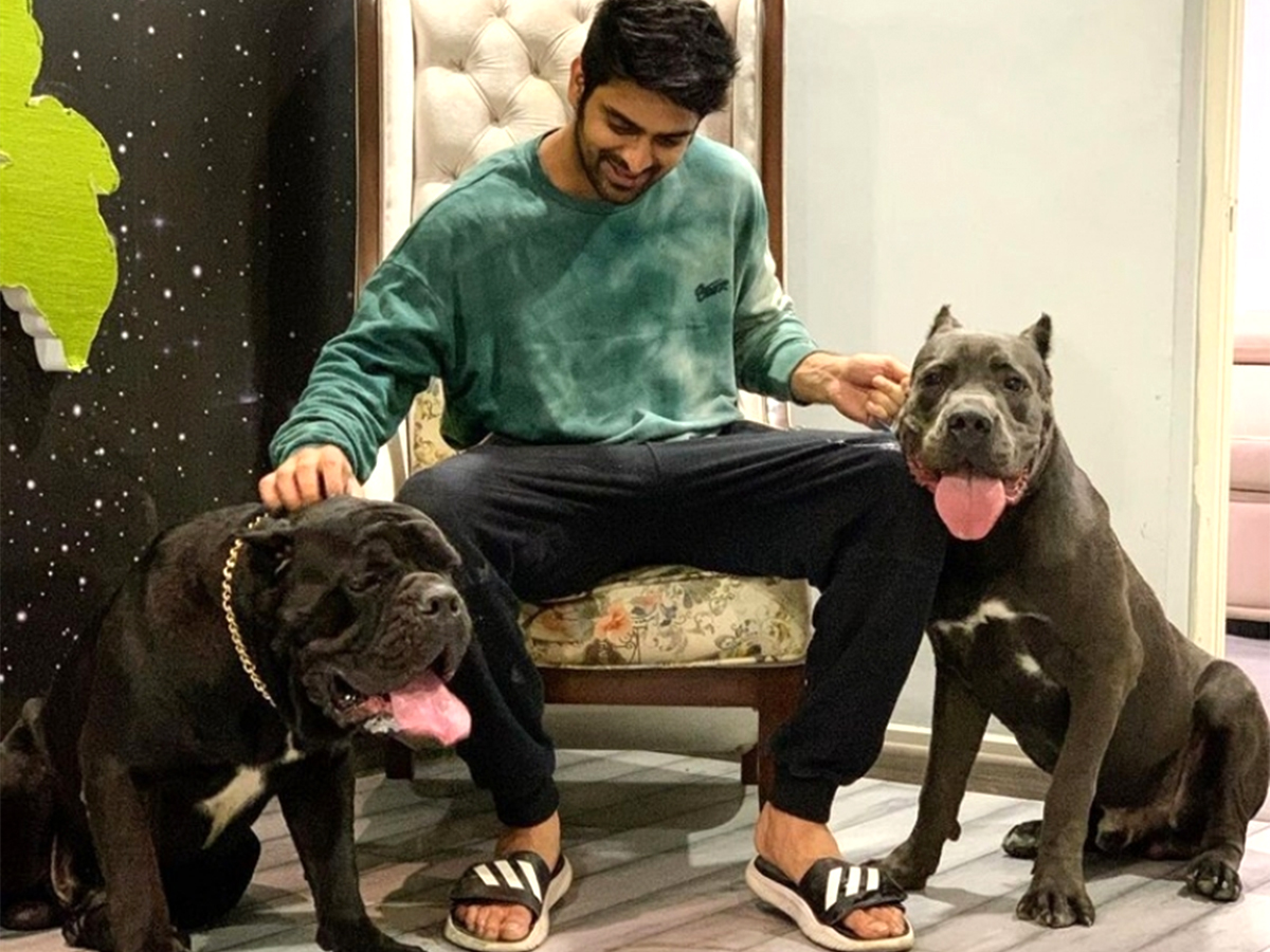 Naga-Shaurya-and-His-Unseen-Family-05.jpg 5