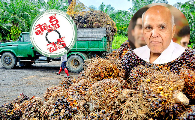 OILPALM.jpg