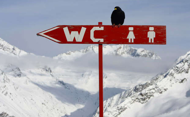 20-Antarctica.jpg 13