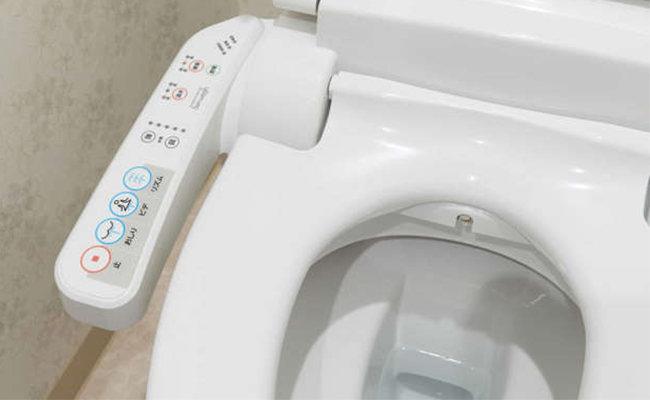22-Japan.jpg 15