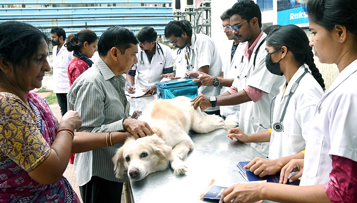 Free_20Vaccination_20For_20Animals_20Photos-10.jpg 10